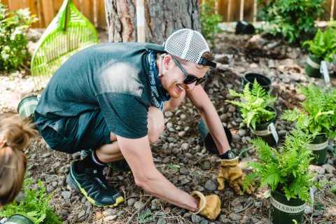 Family Tree Volunteers